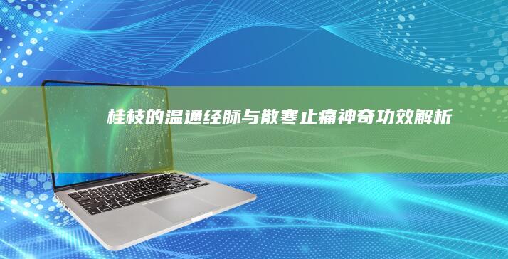 桂枝的温通经脉与散寒止痛神奇功效解析